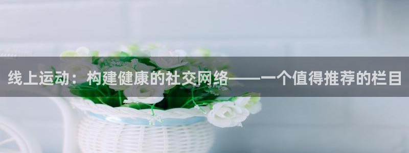 五星体育王政个人简历：线上运动：构建健康的社交网络——一个值得推荐的栏目
