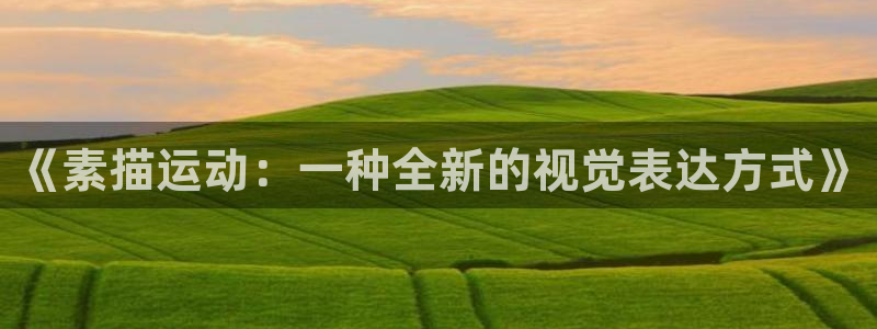 五星体育弈棋耍大牌：《素描运动：一种全新的视觉表达方式》