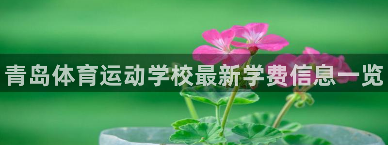 五星体育弈棋：青岛体育运动学校最新学费信息一览