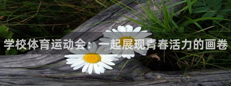 五星体育张蕾：学校体育运动会：一起展现青春活力的画卷