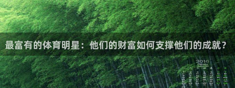 五星体育f：最富有的体育明星：他们的财富如何支撑他们的成就？