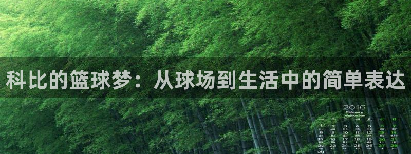 五星体育然哥：科比的篮球梦：从球场到生活中的简单表达